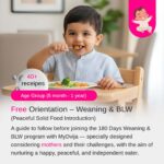 Free Orientation - Weaning & BLW (Peaceful Solid Food Introduction)